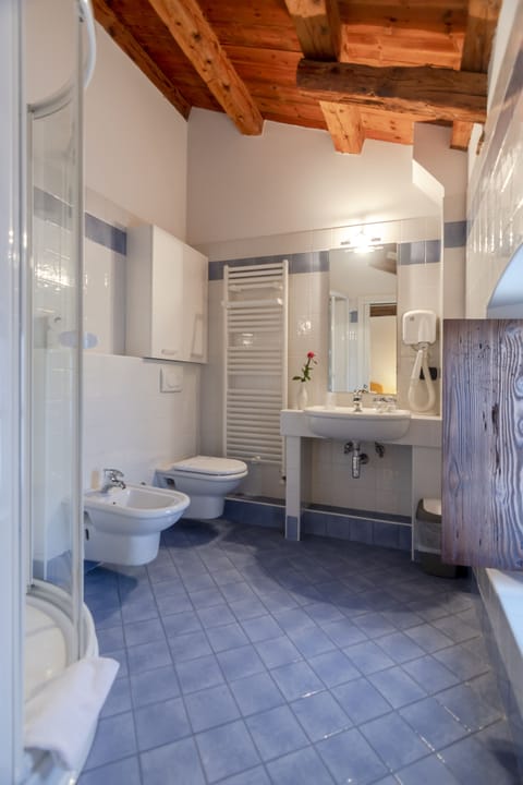 Shower, hydromassage showerhead, hair dryer, bidet