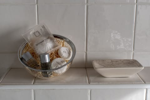 Shower, hydromassage showerhead, hair dryer, bidet