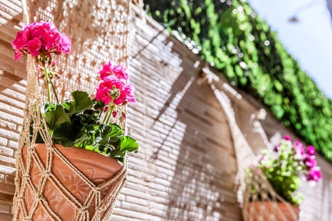 Comfort Apartment | Courtyard view