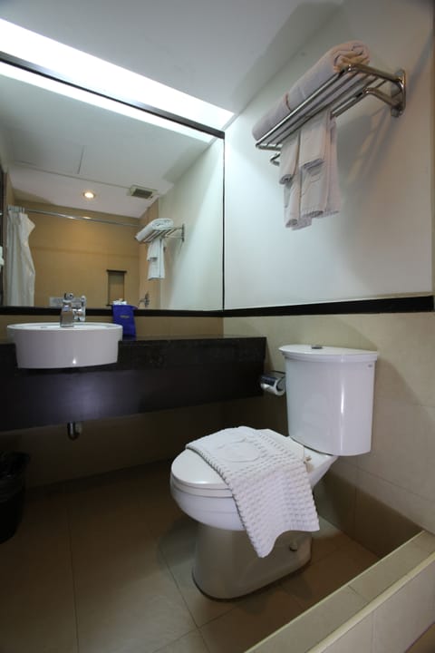 Premium De Luxe  | Bathroom | Shower, hydromassage showerhead, free toiletries, slippers