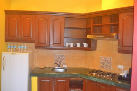 Executive Suite | Private kitchenette | Fridge, coffee/tea maker, electric kettle