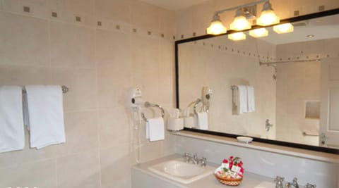 Combined shower/tub, free toiletries, hair dryer, towels