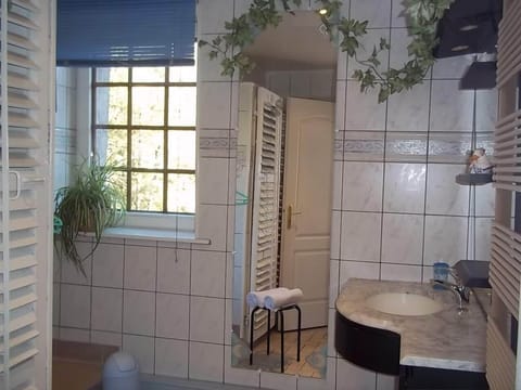 Double Room | Bathroom | Shower, hair dryer, soap, toilet paper