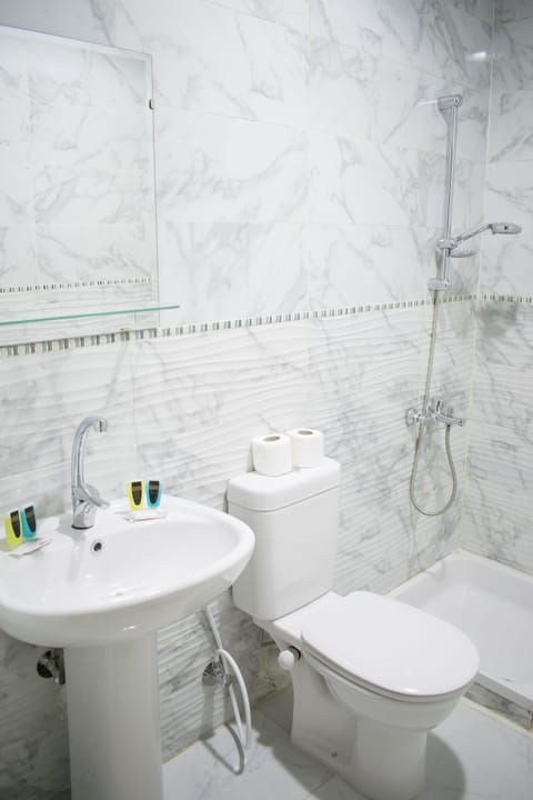 Deluxe Double Room | Bathroom | Shower, rainfall showerhead, free toiletries, hair dryer