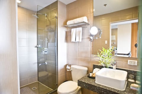 Deluxe Room | Bathroom | Shower, free toiletries, hair dryer, towels