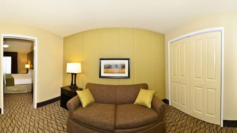 Suite, 1 King Bed | Living area | Flat-screen TV, DVD player