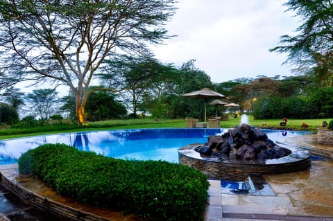 Outdoor pool, sun loungers