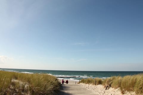 On the beach