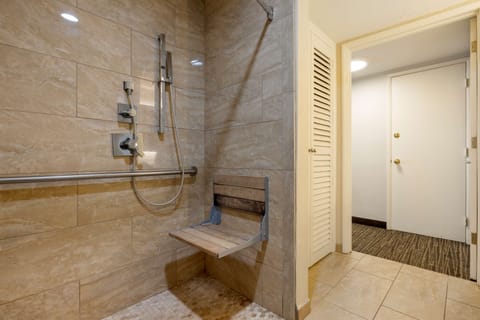 Combined shower/tub, free toiletries, hair dryer, towels