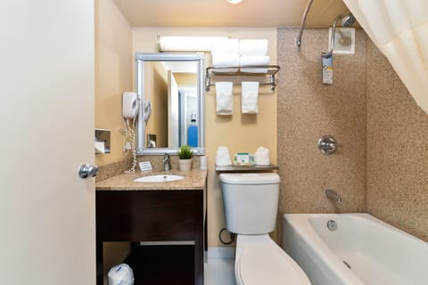 Combined shower/tub, free toiletries, hair dryer, towels