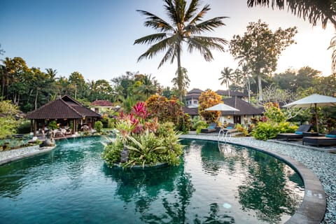 Outdoor pool, pool umbrellas, sun loungers