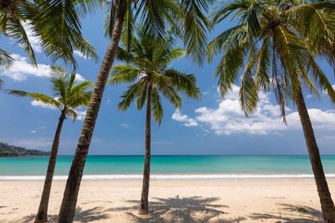 On the beach, scuba diving