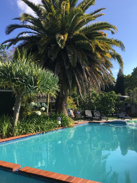 Outdoor pool, open 9:00 AM to 10:00 PM, pool umbrellas, sun loungers