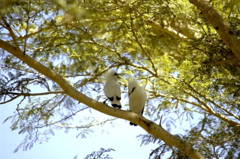 Children's activities