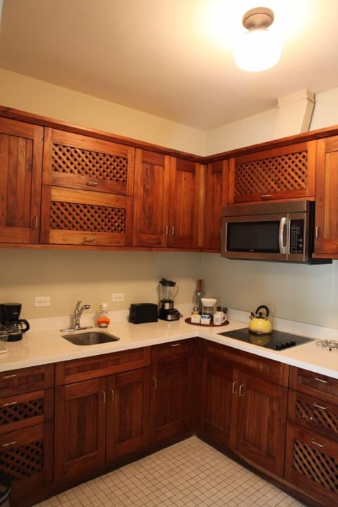 Apartment, 1 Queen Bed with Sofa bed, Non Smoking, Kitchen | Private kitchen | Fridge, microwave, stovetop, coffee/tea maker