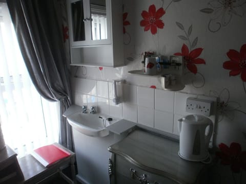 Basic Single Room, Ensuite (Room 6)