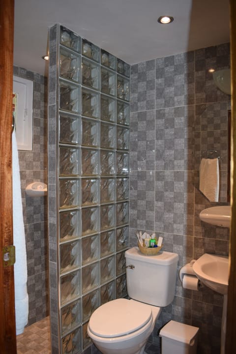 Double Room | Bathroom | Shower, hair dryer, towels