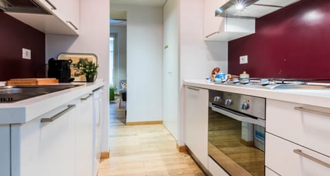 Apartment, 2 Bedrooms, Terrace | Private kitchen | Fridge, oven, stovetop, dishwasher