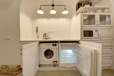 Apartment, 1 Bedroom, Terrace | Private kitchenette | Fridge, microwave, stovetop, dishwasher