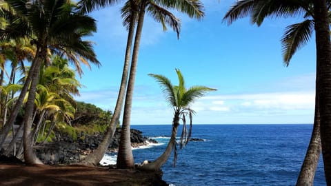 House, 3 Bedrooms | Beach