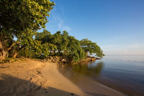 Private beach, sun loungers, beach umbrellas, beach towels