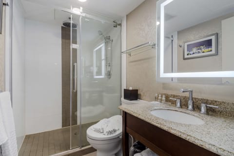 Shower, rainfall showerhead, eco-friendly toiletries, hair dryer