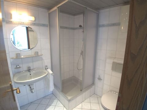 Shower, hydromassage showerhead, hair dryer, towels