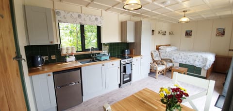 Studio, 1 King Bed (Mallard) | Private kitchen | Full-size fridge, oven, stovetop, electric kettle