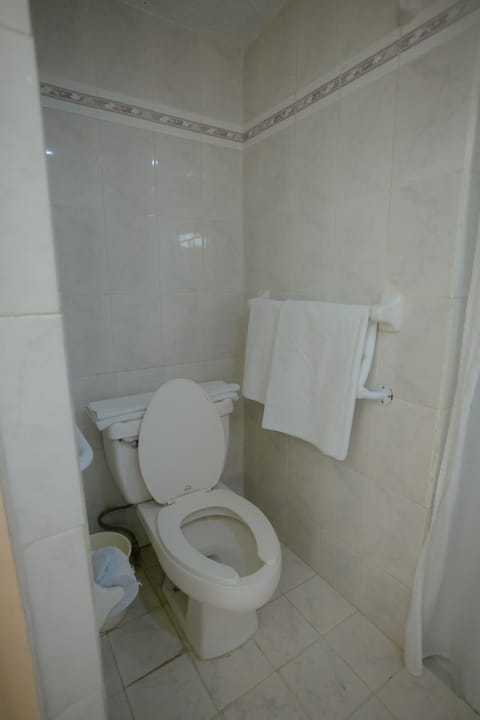 Shower, free toiletries, hair dryer, bidet