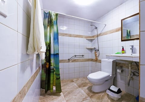 Deluxe Quadruple Room | Bathroom | Shower, rainfall showerhead, free toiletries, hair dryer