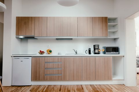 Family Apartment | Private kitchen | Fridge, microwave, oven, stovetop