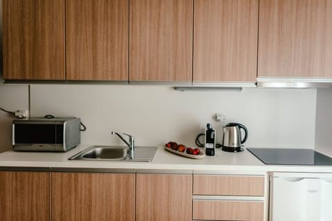 Family Apartment | Private kitchen | Fridge, microwave, oven, stovetop