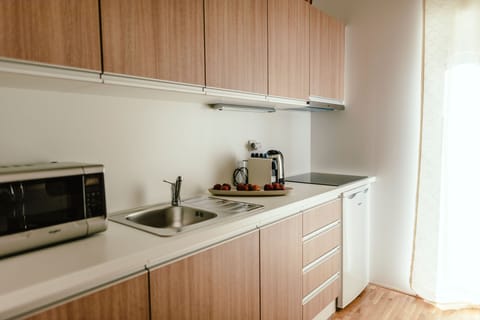 Family Apartment | Private kitchen | Fridge, microwave, oven, stovetop