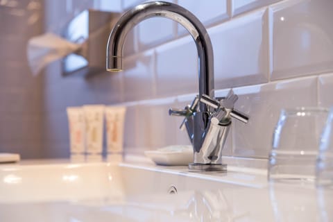 Ralph Junior Suite | Bathroom | Eco-friendly toiletries, hair dryer, towels, soap