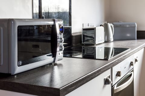 Villa (2 Bedrooms) | Private kitchen | Fridge, microwave, stovetop, electric kettle