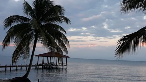 Private beach, sun loungers, beach towels, snorkeling