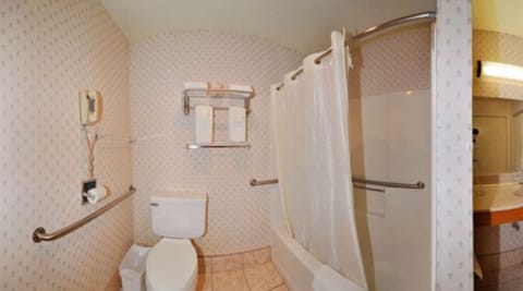 Combined shower/tub, free toiletries, hair dryer, towels