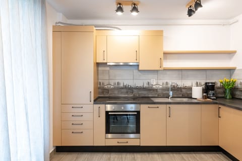 Apartment, 1 Bedroom, Terrace (Industrial) | Private kitchen | Fridge, oven, stovetop, dishwasher