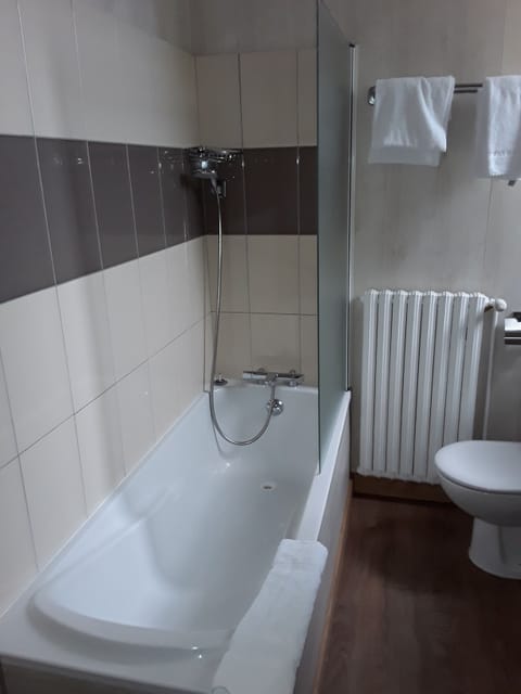 Triple Room | Bathroom | Shower, hair dryer, towels