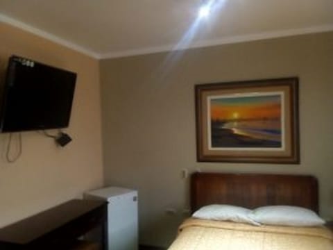 Executive Single Room | Minibar, free WiFi