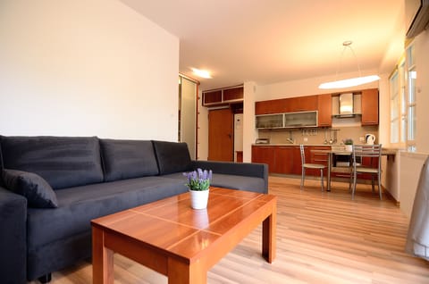 Apartment | Living room | Flat-screen TV