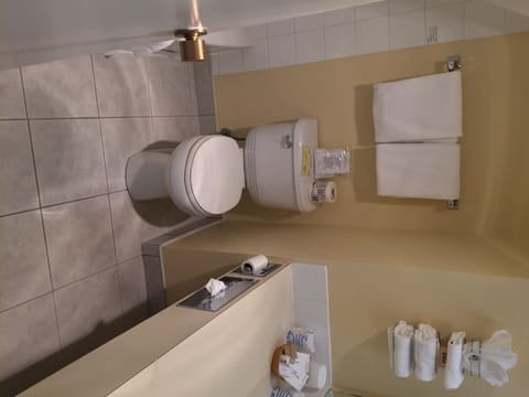 Executive Room | Bathroom | Combined shower/tub, free toiletries, hair dryer, towels