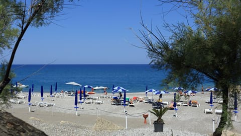 Private beach, sun loungers, beach umbrellas, windsurfing