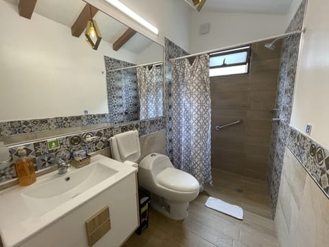 Traditional Single Room, 1 Queen Bed | Bathroom | Shower, rainfall showerhead, free toiletries, towels