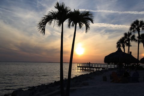 Beach nearby, beach volleyball, fishing