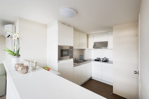 Family Apartment | Private kitchen | Coffee/tea maker, electric kettle, cleaning supplies