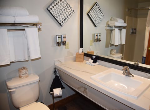 Standard Room, 2 Queen Beds | Bathroom | Combined shower/tub, free toiletries, hair dryer, towels