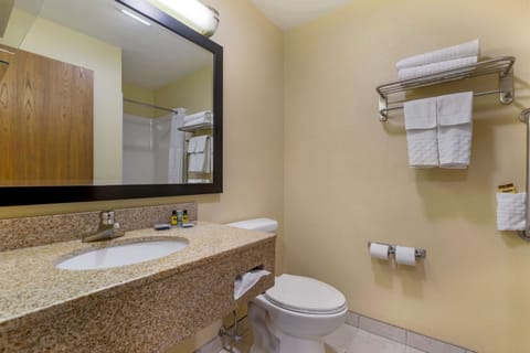 Standard Room, 1 King Bed, Non Smoking, Jetted Tub (with Sofabed) | Bathroom | Free toiletries, hair dryer, towels, soap