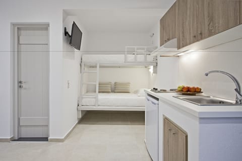 Family Studio, Balcony, Sea View | Private kitchenette | Mini-fridge, stovetop, cookware/dishes/utensils