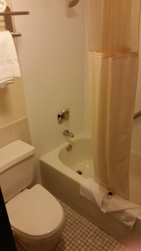 Combined shower/tub, hair dryer, towels